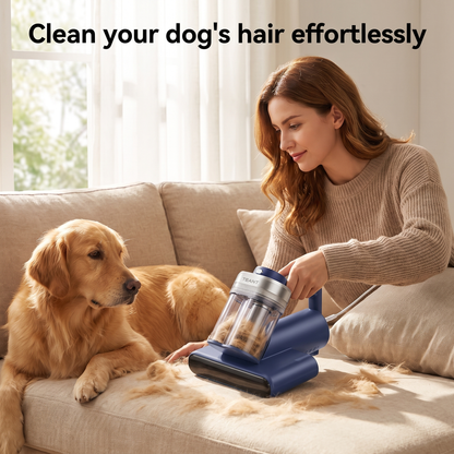 DustClear